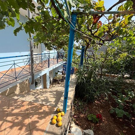 Dina House Daire Himarë Dış mekan fotoğraf
