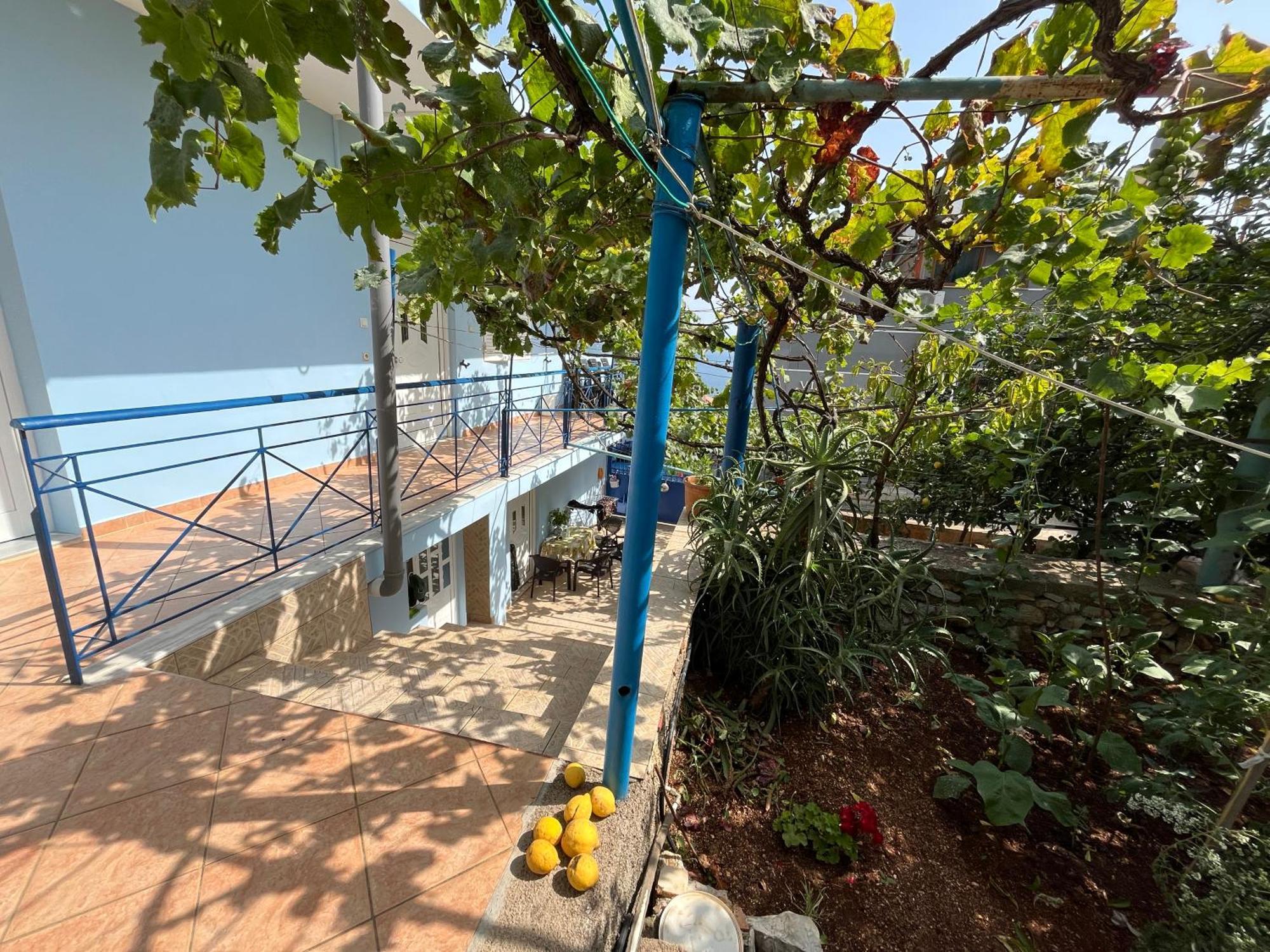 Dina House Daire Himarë Dış mekan fotoğraf